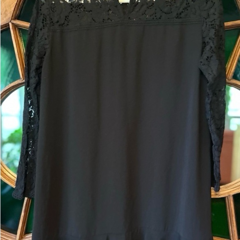 Zara Elegant Black Lace Sleeve Dress - Picture 5 of 8